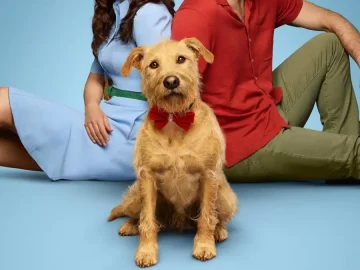Merv (2025) Movie