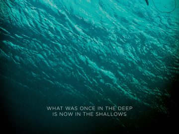The Shallows (2025) Movie